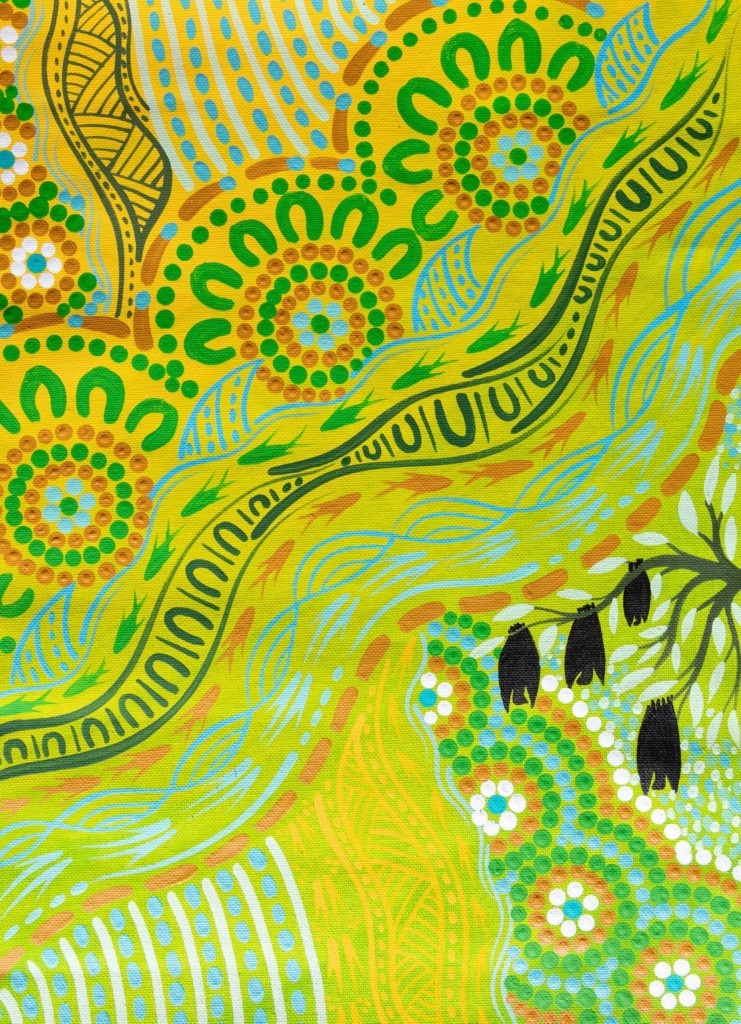 Currimundi FC indigenous artwork